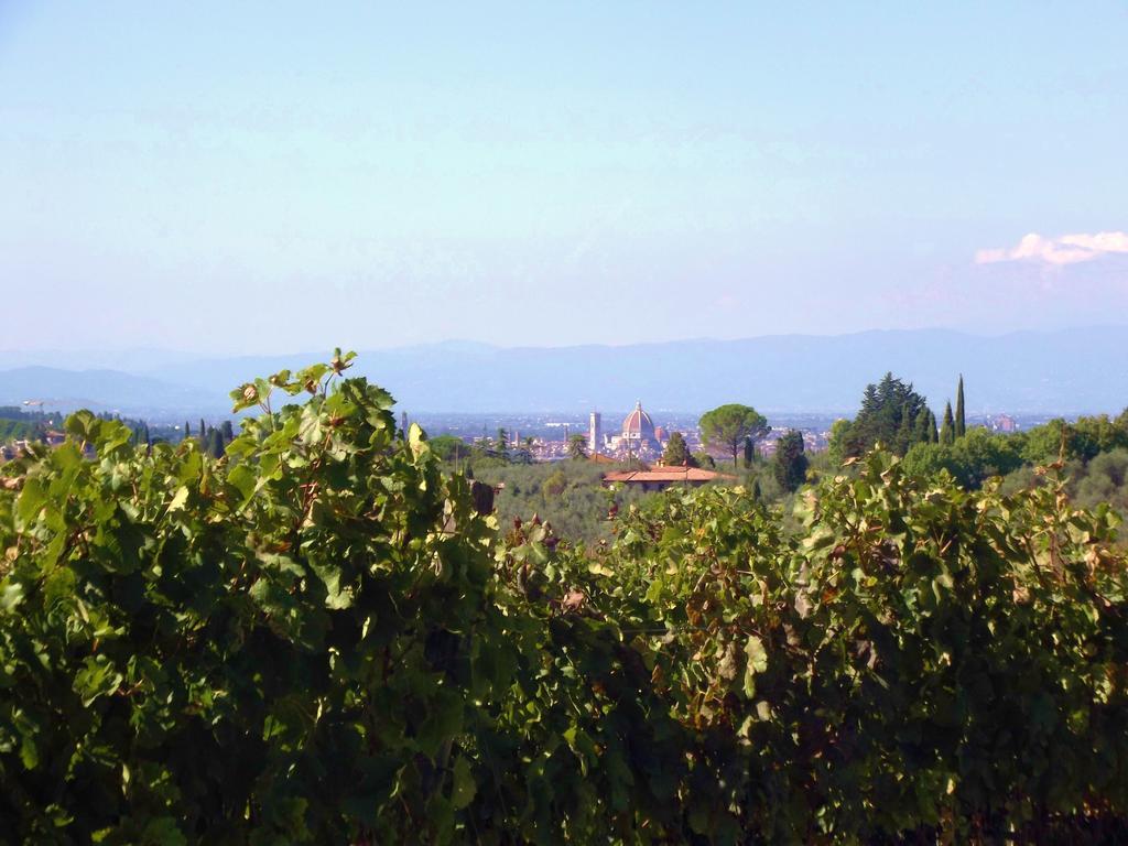 Le Civette Country Resort Bagno A Ripoli Bagian luar foto
